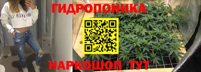 Альфа ПВП Нальчик