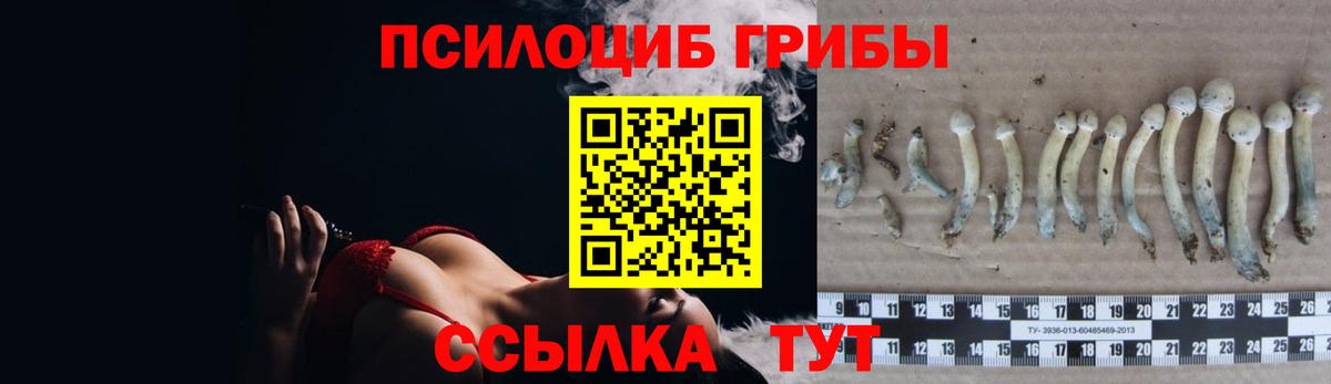 Псилоцибиновые грибы Psilocybine cubensis  Вход с VPN  Черняховск 